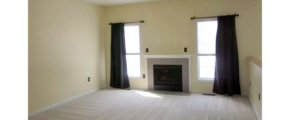 Carpeted living room with fireplace