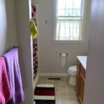 Bathroom with shower stall, vanity, and toilet