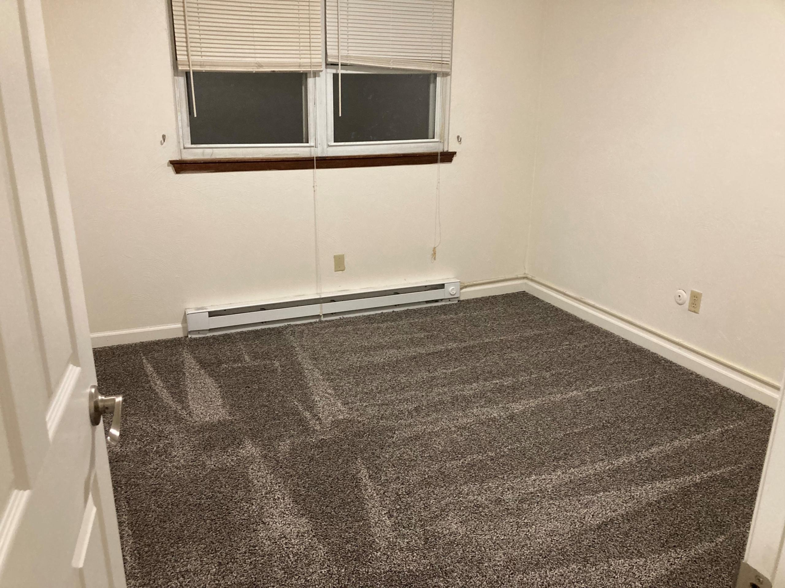 Empty room with carpet floor, window, and heater