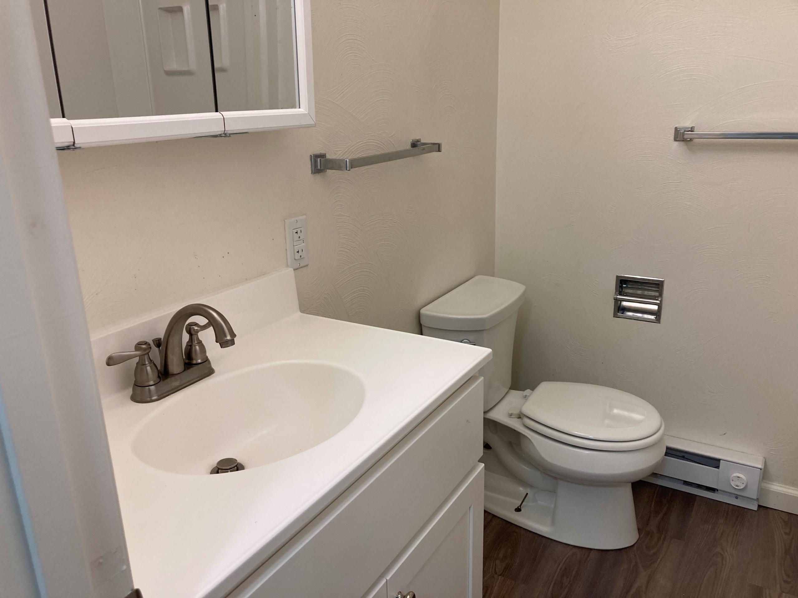 Bathroom with sink, toilet, and mirror at 312 Homestead Ln