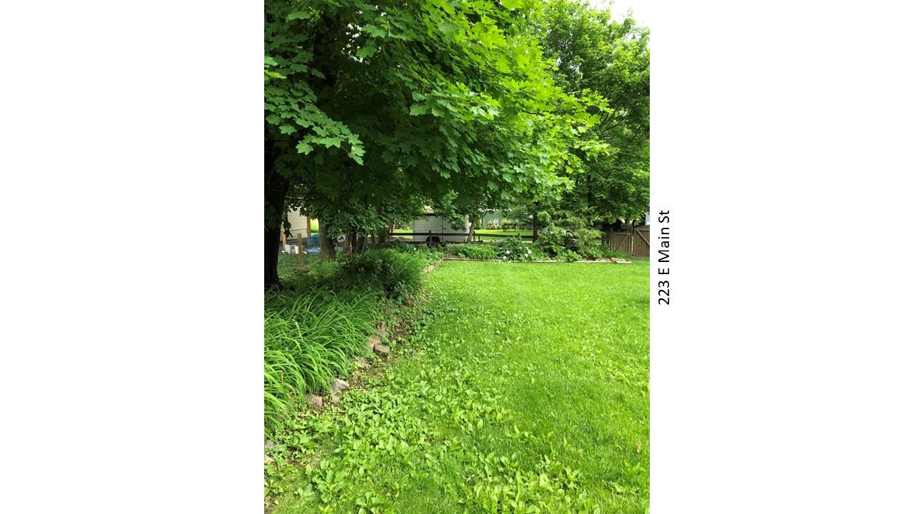 Lush green backyard with mature trees