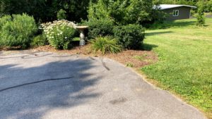 Driveway with bushes and birdbath