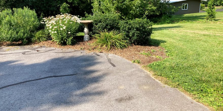 Driveway with bushes and birdbath