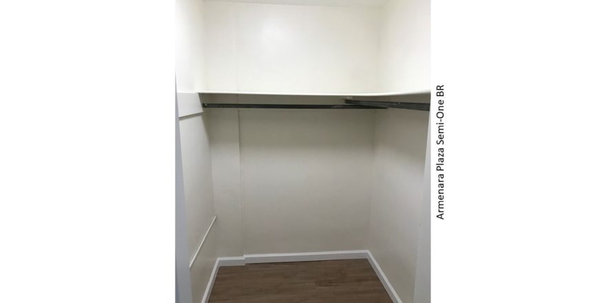 Large walk-in closet