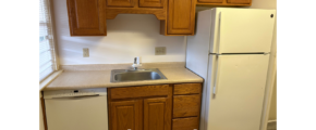 a kitchen with a sink, refrigerator and dishwasher