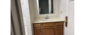 a bathroom with a sink and a mirror