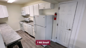 Galley kitchen with range oven, microwave, dishwasher, and refridgerator