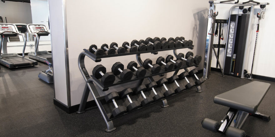 Free weights and weight lifting bench