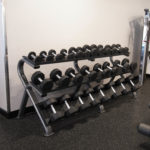 Free weights and weight lifting bench