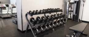 Free weights and weight lifting bench