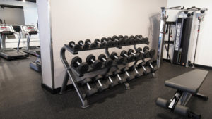 Free weights and weight lifting bench