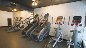 Ellipticals and stair climbers