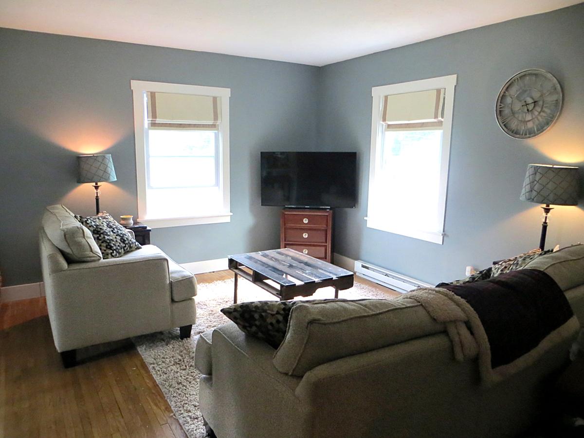 Living room with couches and coffee table