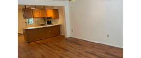 an empty living room with a ceiling fan