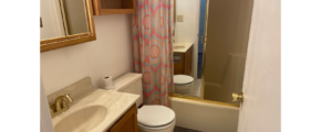 a bathroom with a sink, toilet, and shower
