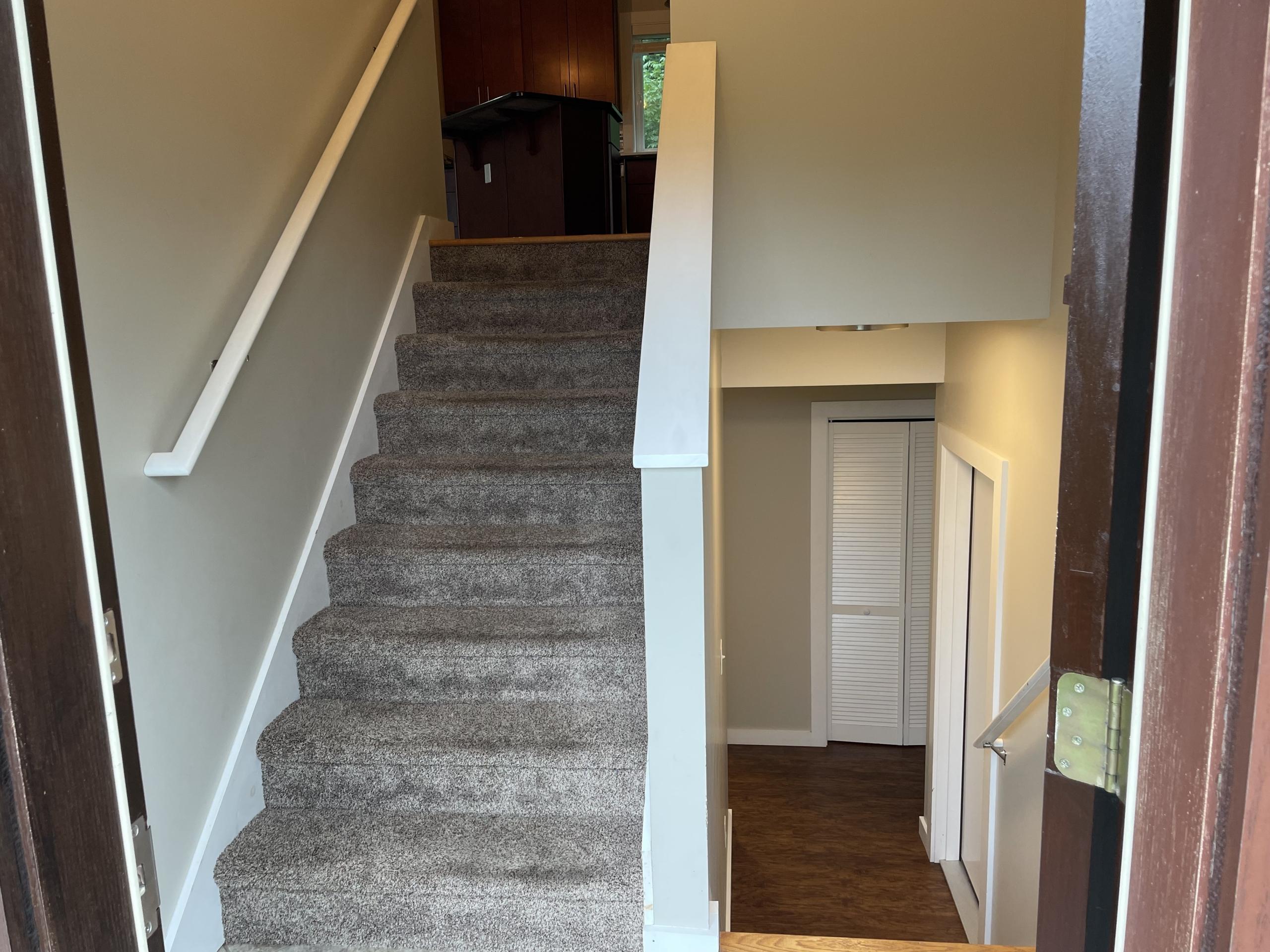 Carpeted staircase in entryway