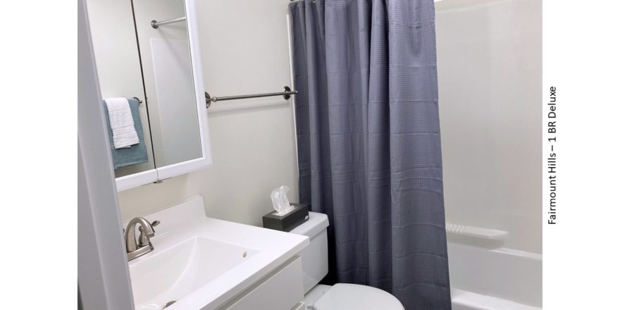 Bathroom with vanity, medicine cabinet, toilet, and shower and tub combo