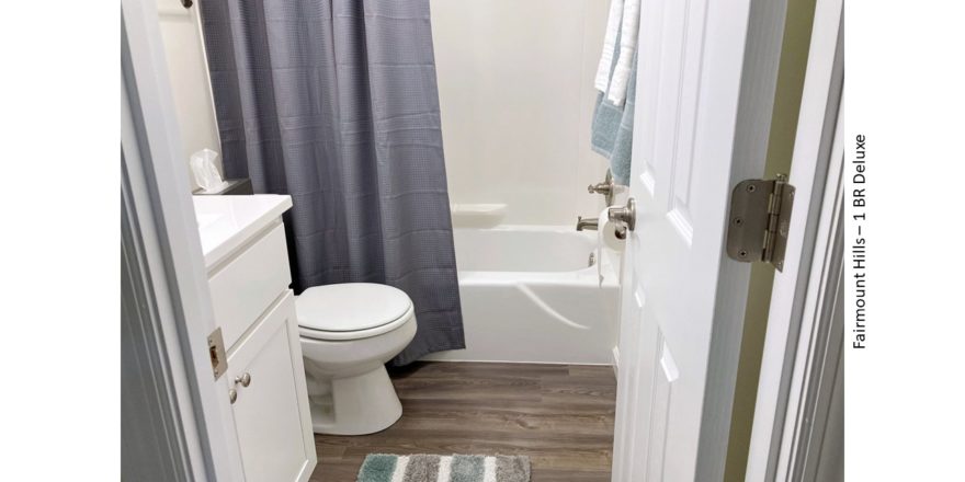 Bathroom with vanity, medicine cabinet, toilet, and shower and tub combo