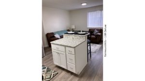 Kitchen island and furnished living room