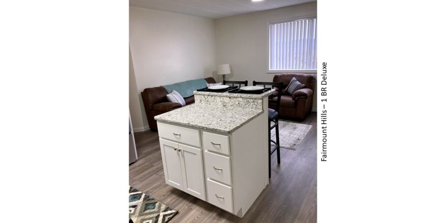 Kitchen island and furnished living room