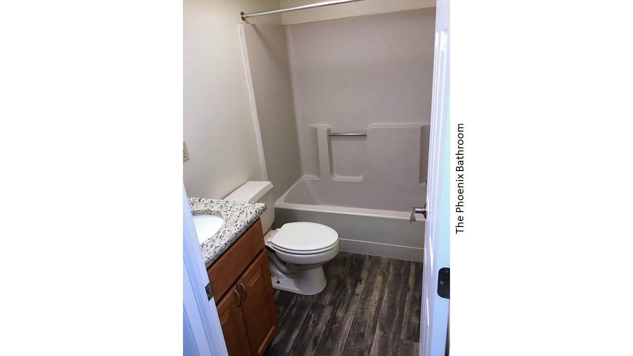 Phoenix bathroom with toilet and tub