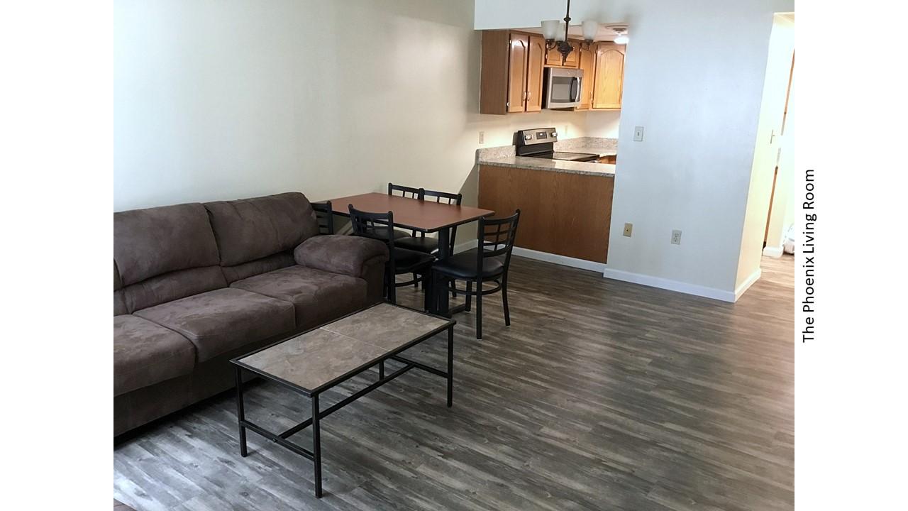Phoenix living room and kitchen area