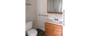 Bathroom with wood-style laminate floor, toilet, vanity, and medicine cabinet