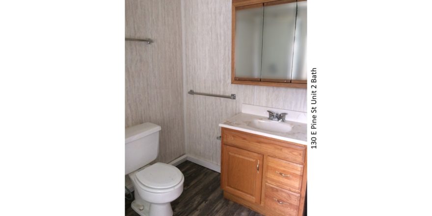 Bathroom with wood-style laminate floor, toilet, vanity, and medicine cabinet