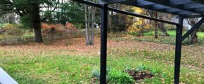 Back yard with patio and pergola