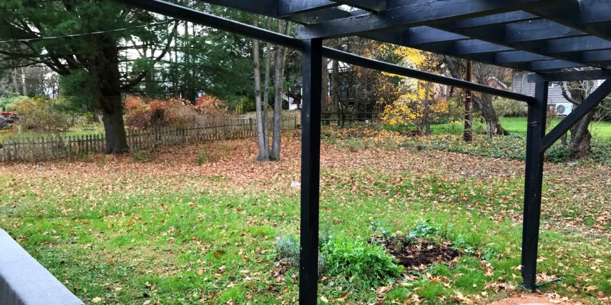 Back yard with patio and pergola