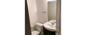 Basement bathroom with toilet and vanity