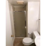 Basement bathroom with showers stall and toilet