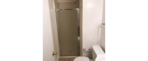 Basement bathroom with showers stall and toilet