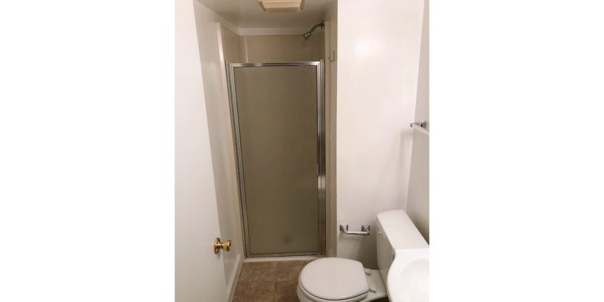 Basement bathroom with showers stall and toilet