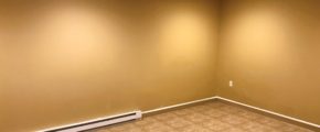 Basement flex room with laminate floor