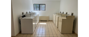 a row of sinks in a bathroom next to a window