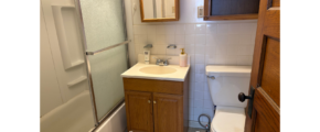 a bathroom with a sink, toilet, and shower