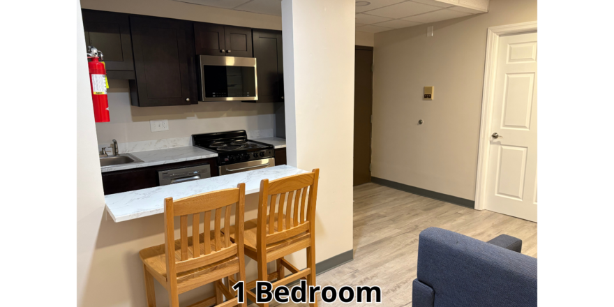 a kitchen and living room in a one bedroom apartment