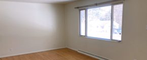 Unfurnished living room with wood floors and ceiling lighting fixture