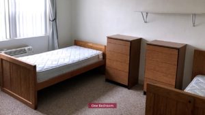 Carpeted bedroom with two twin beds, shelving, and wooden chests of drawers