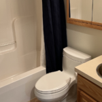 a white toilet sitting next to a bath tub