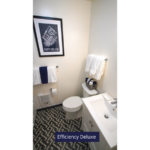 a bathroom with a toilet, sink and mirror