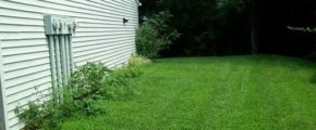 Yard with bushes and utility meters