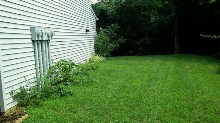 Yard with bushes and utility meters
