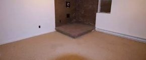 Carpeted basement with brick slab