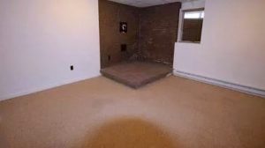 Carpeted basement with brick slab