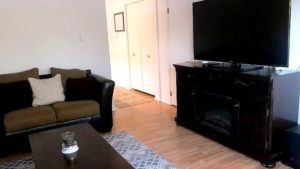 Living area with entertainment center, TV, coffee table, and love seat