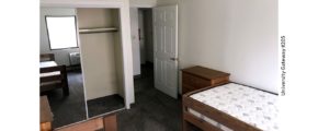 Carpeted, furnished bedroom with 2 dressers and 2 beds and a closet