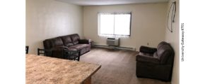 Carpeted living room with window, AC unit, loveseat, and sofa