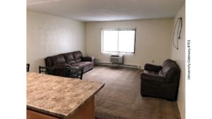 Carpeted living room with window, AC unit, loveseat, and sofa